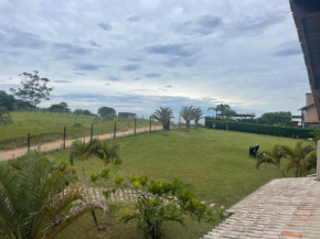 Ponta da piteira
